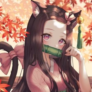 Meet your Posher, Delores